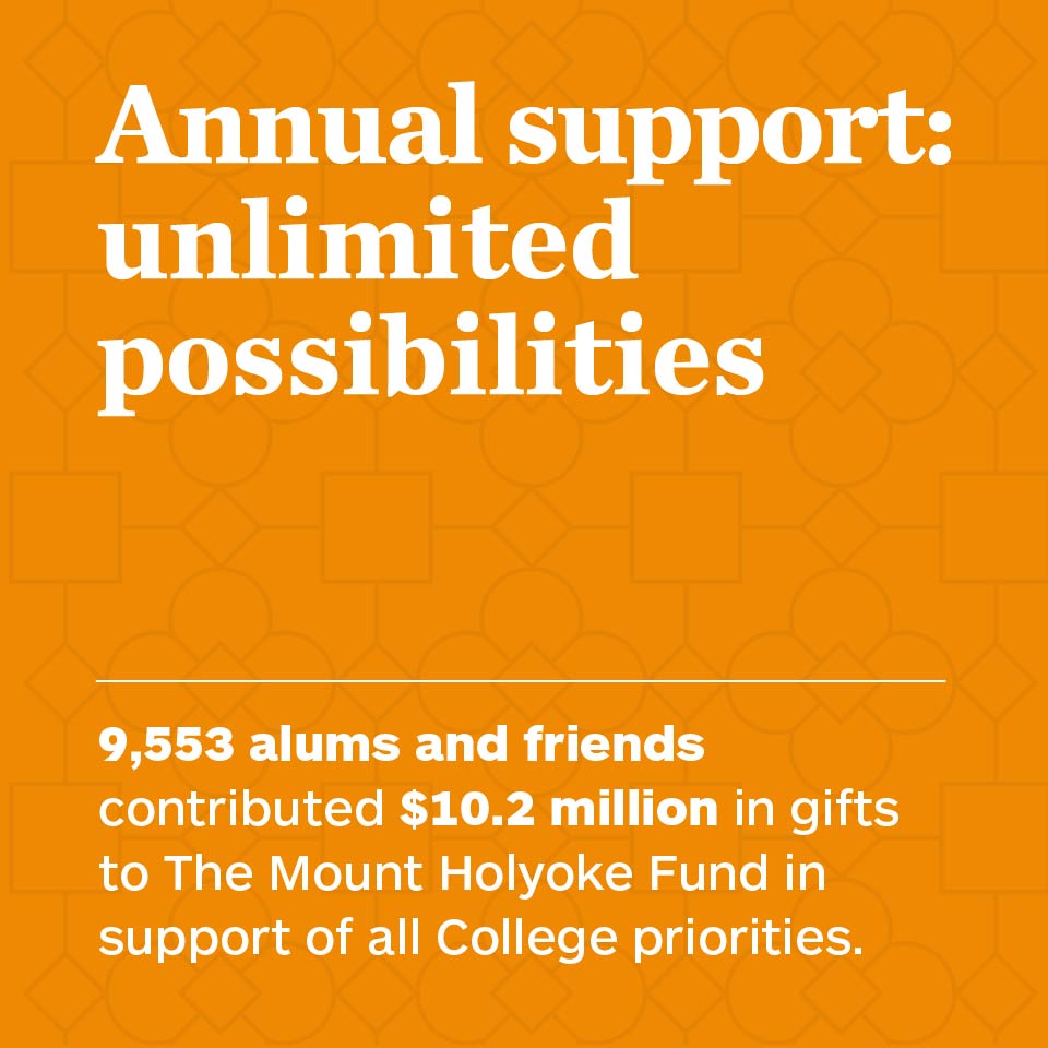 Annual support: unlimited possibilities