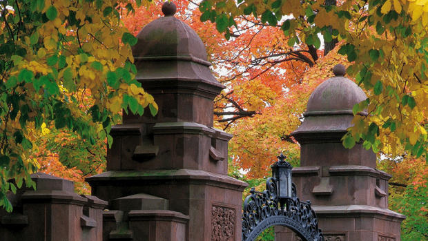 Photo of the top of the Mount Holyoke gate with fall leaves surrounding it