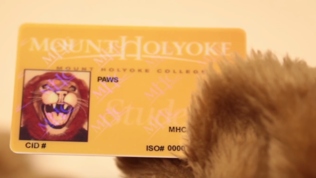 Image of Paws ID card