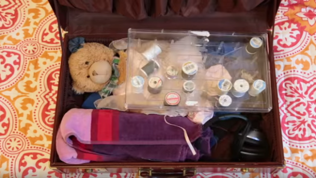 Image of Paws suitcase