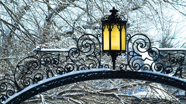 Image of Field Gate in winter.