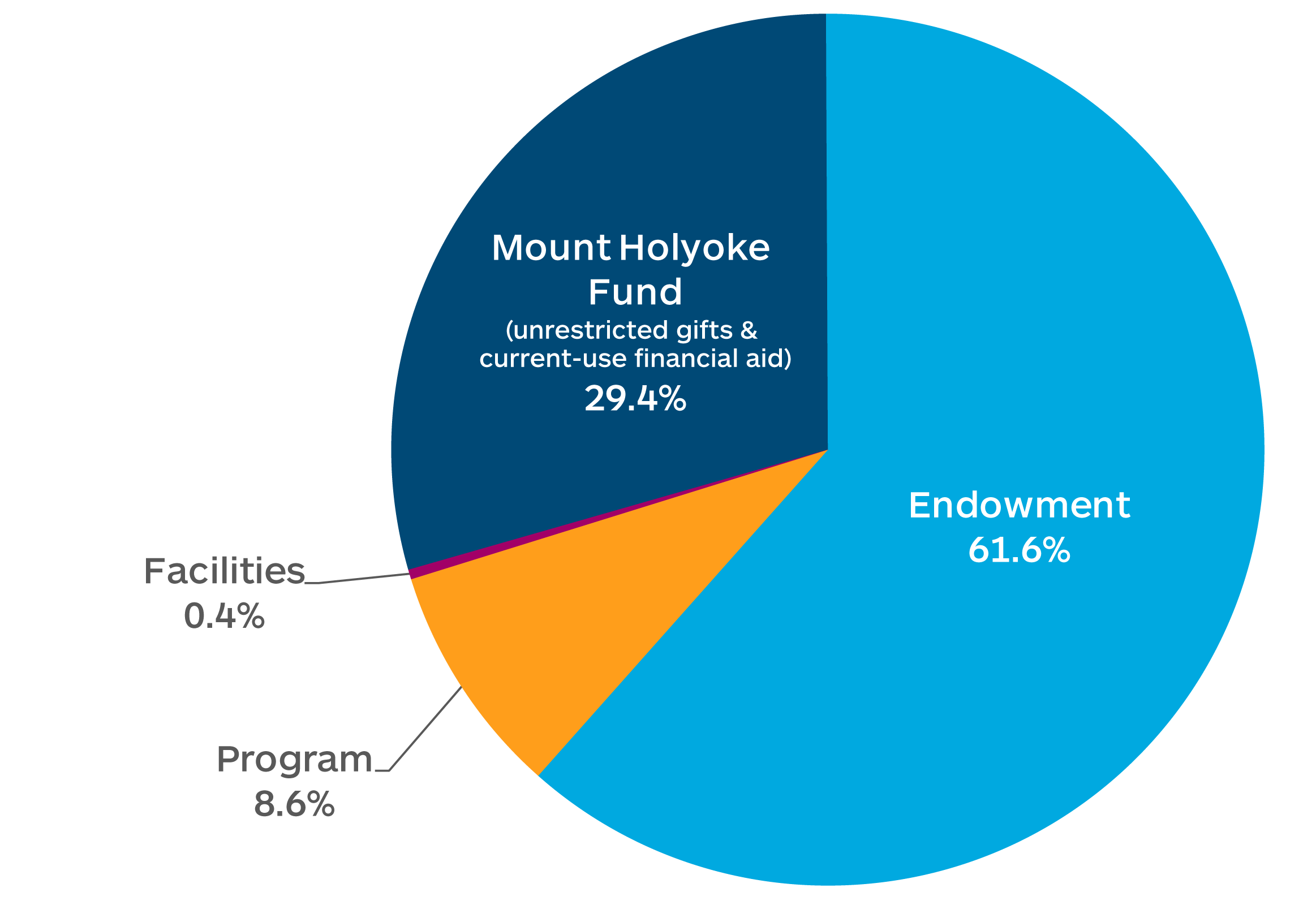 Gifts by Purpose: Endowment 61.6%, Mount Holyoke Fund 29.4%, Programs 8.6%, Facilities 0.4%