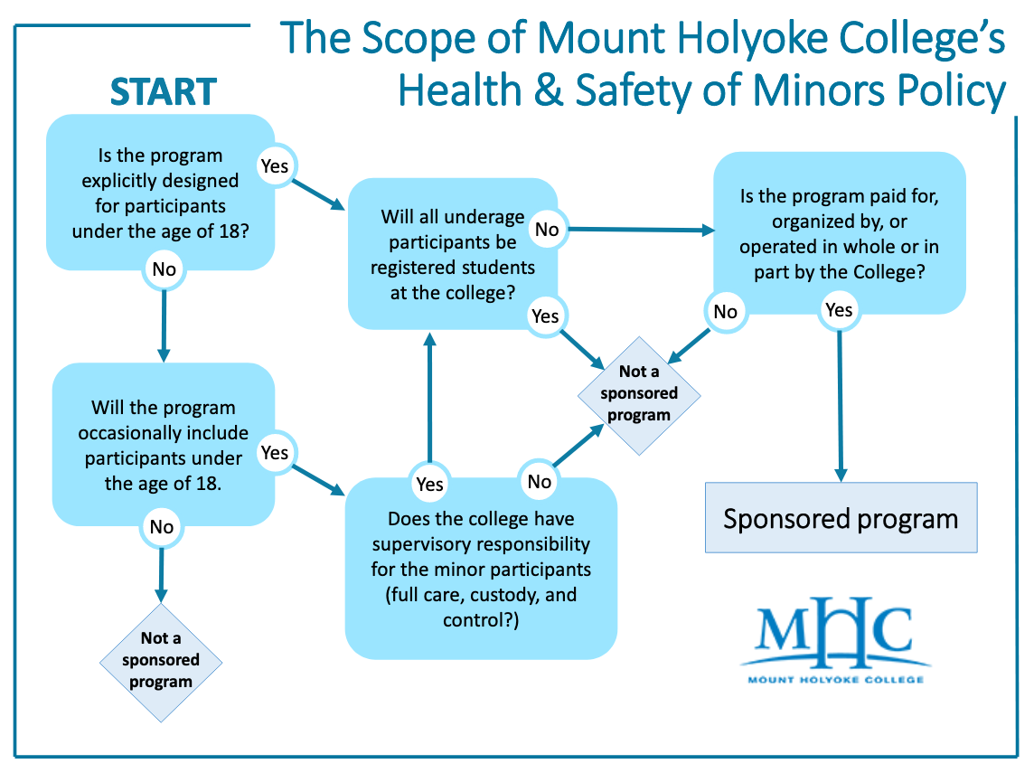 Chart depicting the scope of the policy (text version on page)