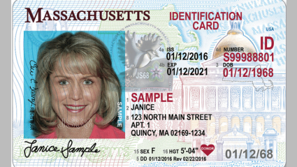 Massachusetts ID Learners Permit and Driver s License Mount  